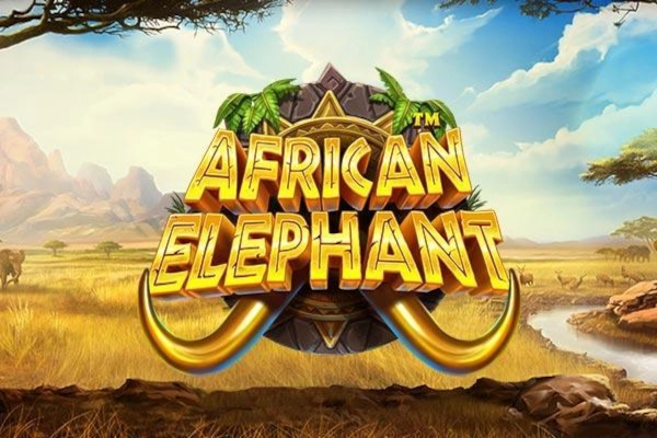 African Elephant™